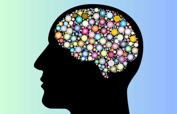 Maximizing Your Brain Health: Tips from a Behavioural Neurologist